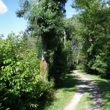 House Les Glycines 6 Vonnas